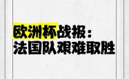包含欧洲杯冠军法国遭意外出局，球迷扼腕叹息的词条